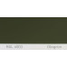 Краска полиуретановая для металла (DTM) Simplex, RAL 6003 OLIVGRUEN, Olive green