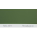 Краска полиуретановая для металла (DTM) Simplex, RAL 6011 RESEDAGRUEN, Reseda green