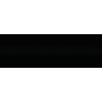 Краска акриловая Skoda 9000 (041) EBONY BLACK