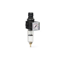 Фильтр с модульным регулятором давления ANI E/24/3 Medium 1/2F