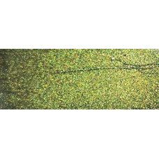 Фарба Nissan DAL EVERGREEN