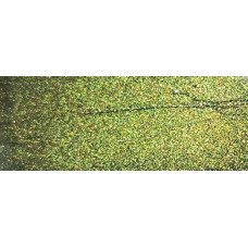 Краска Nissan DAL EVERGREEN