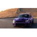  Краска Jeep FHG (PHG) PLUM CRAZY