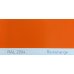 Краска полиуретановая для металла (DTM) Simplex, RAL 2004 REINORANGE, Pure orange