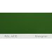 Фарба поліуретанова для металу (DTM)  Simplex, RAL 6010 GRASGRUEN, Grass green