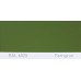 Фарба поліуретанова для металу (DTM)  Simplex, RAL 6025 FARNGRUEN, Fern green
