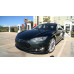 Фарба Tesla PMSG SEQUOIA GREEN